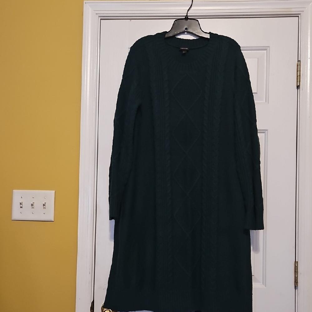 Torrid Dark Green Long Sleeve Dress